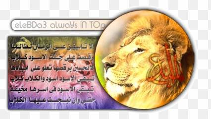 Elmobe3 - East African Lion Emoji,Emoticon Mamado