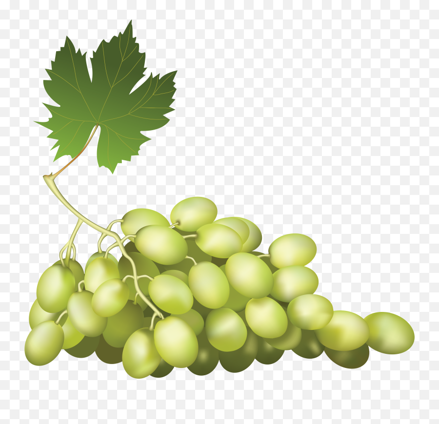 Green Grapes Png Image - Transparent Background Transparent Wine Grapes Emoji,Grape Emoji
