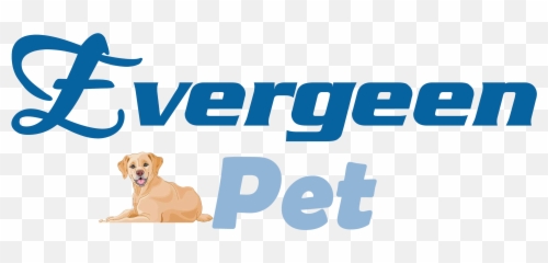 Pet Hair Dryer Pet Blower Grooming Dryer Cat Dog Blow Dryer Emoji,Hair Dryer Emoticon Whatsapp