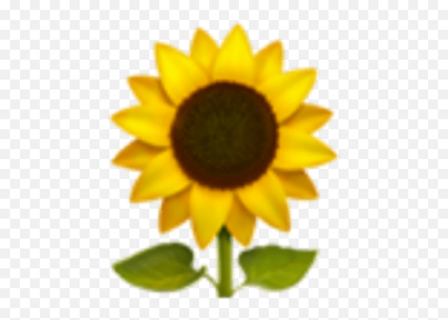Emoji Iphoneemoji Flower Flowers - Iphone Emoji Sunflower,Daisy Emoji