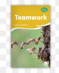 How A Leveled Classroom Library Benefits Students And Emoji,Bees Gees Emotion Cove