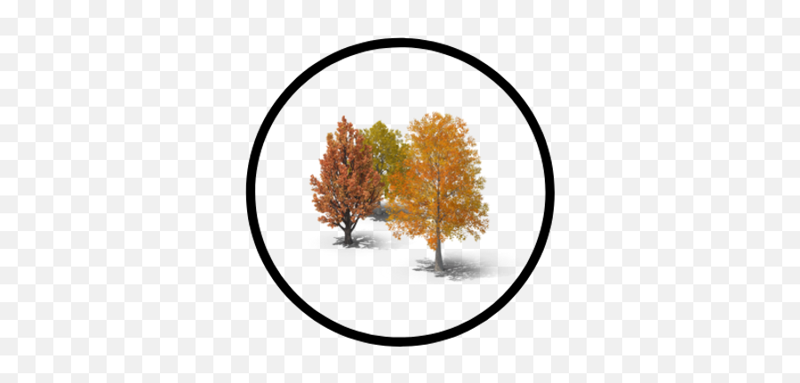 Tree Service Ju0026d Tree Pros Inc Apex Emoji,Emoticons About Tree Trimming