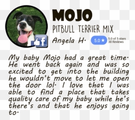 Grooming U2013 Mobile Grooming U2013 Boarding U2013 Dog Daycare Emoji,Pitbull Emotion