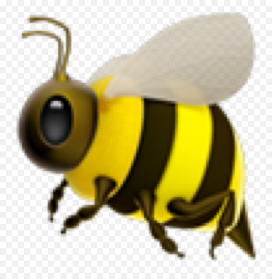 Yellow Bee Emoji Sticker - Iphone Bee Emoji Png,Honey Bee Emoji
