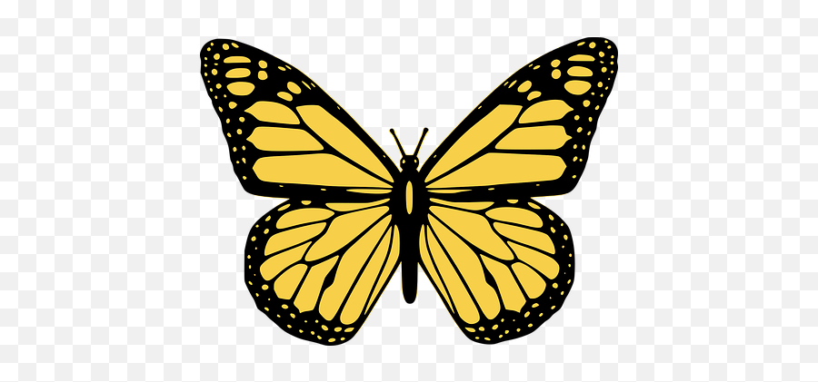 10 Free Butterfly Icon U0026 Butterfly Vectors - Pixabay Transparent Butterfly Outline Png Emoji,Butterfly Emoji Png
