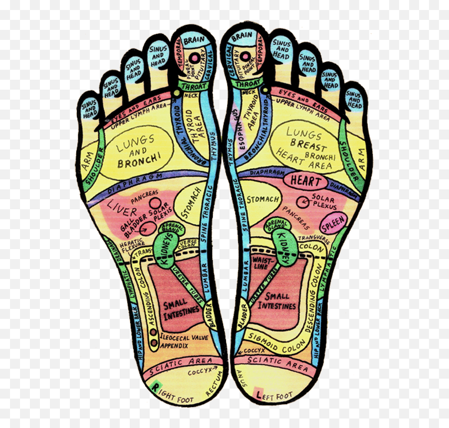 Reflexology Reiki Beyond - For Women Emoji,Emotions In The Soles Of Your Feet