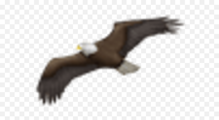 24 - Flying Bird Emoji,Eagle Emoji