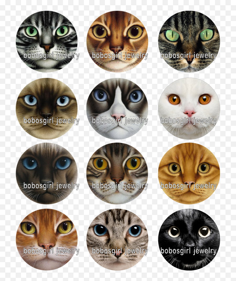 Mixed Set High Quality Animal Cat Dog Horse Glass Snap - Soft Emoji,Emoji Charm Bracelets