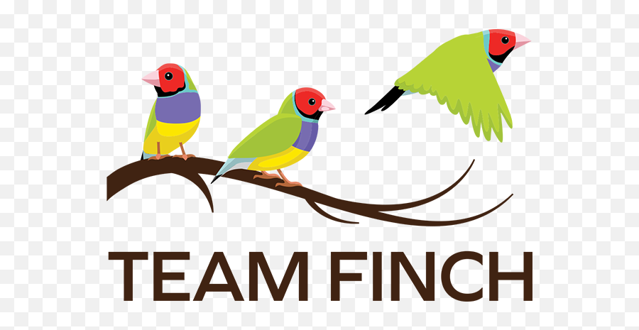 Team Finch Consultants - Gouldian Finch Emoji,Human Emotion Animal Rorschach