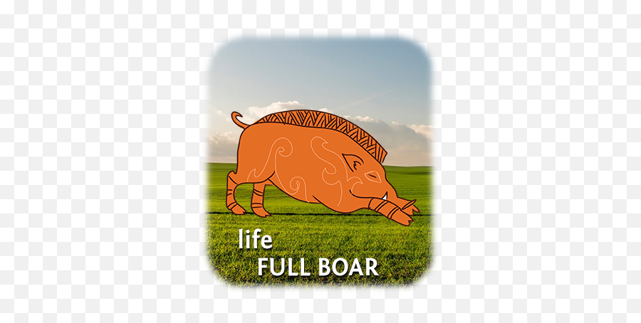 Taproots Wisdom Inc - Taichung Intercontinental Baseball Stadium Emoji,Raw Emotion Hereford Boar