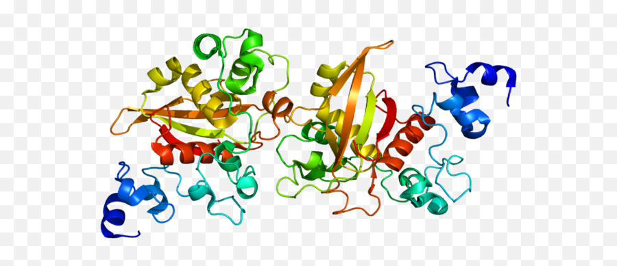 Metabolism Of Amino Acids U2013 Lecturio Online Medical Library Emoji,Role Of Brain In Vicarious Emotions Mcat