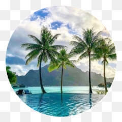 Palm Tree Sticker Challenge - Natural Landscape Emoji,Palm Tree Drink Emoji