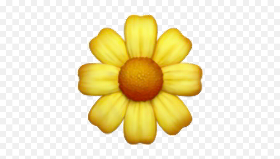 Download Daisy Yellow Flower Cute Tumblr Overlay Interesting - Flower Emoji Transparent,Cute Emoji Tumblr
