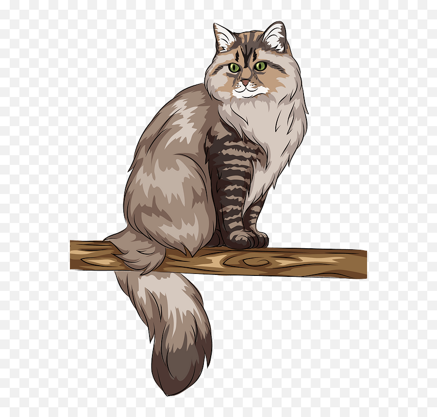 Siberian Cat Clipart Free Download Transparent Png Creazilla - Siberian Cat Transparent Emoji,Siberian Husky Emoji