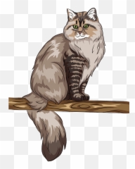 Siberian Cat Clipart Free Download Transparent Png Creazilla - Siberian Cat Transparent Emoji,Siberian Husky Emoji