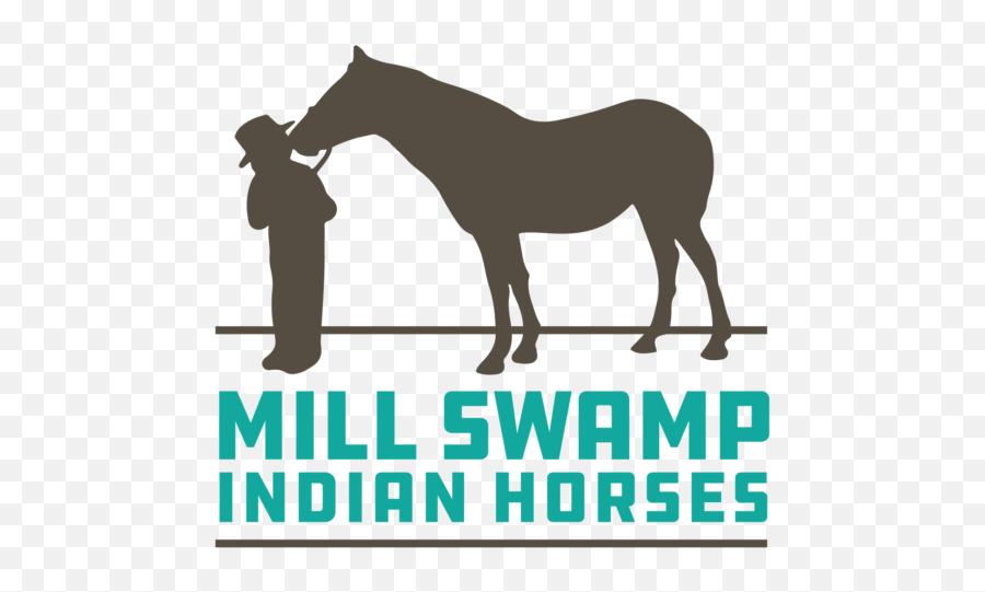 Horseback Riding At Mill Swamp Indian - Camping Deva Gijon Emoji,Horse Emotions