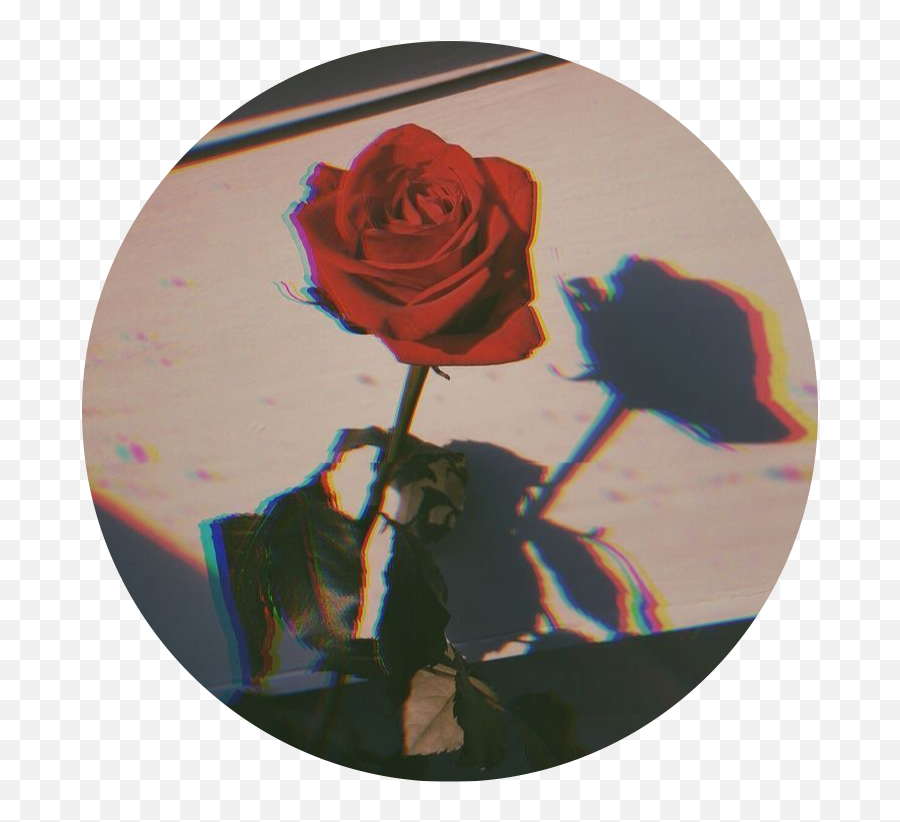Redaesthetic Red Aesthetic Rose - Instagram Fotos De Perfil Para Whatsapp Emoji,Aski Emojis