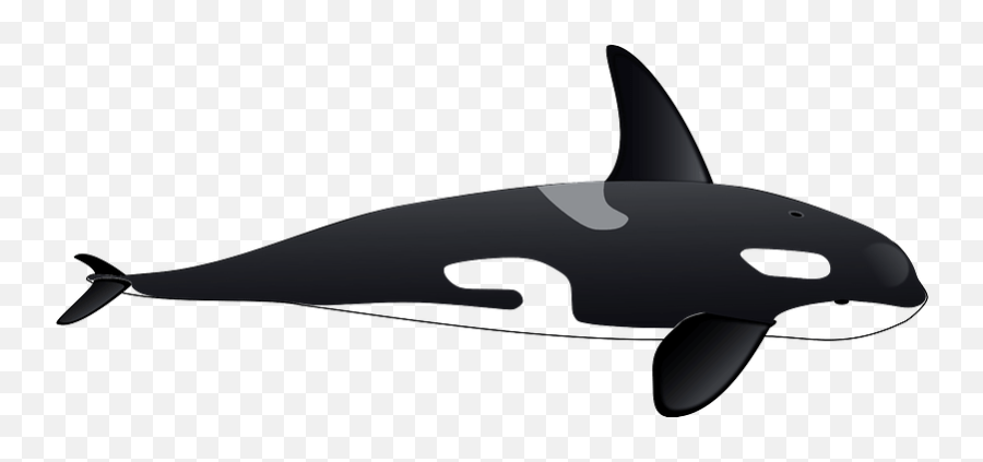 Orca Clipart Free Download Transparent Png Creazilla - Clipart Orca Png Emoji,Emoji The Guess Killer Whale