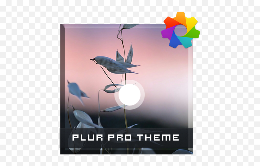 Plur Theme For Xperia 13 - Tu No Has Ganado Nada Emoji,Plur Emoji