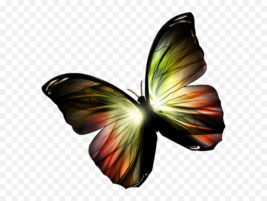 Chrysalis Club - Beautiful Butterfly Drawing Emoji,Adele's Sweetest Emotion