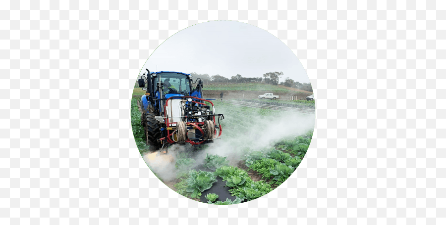 Saturated Steam Weed Controlsatusteam Emoji,Clicker Emoticon For Steam