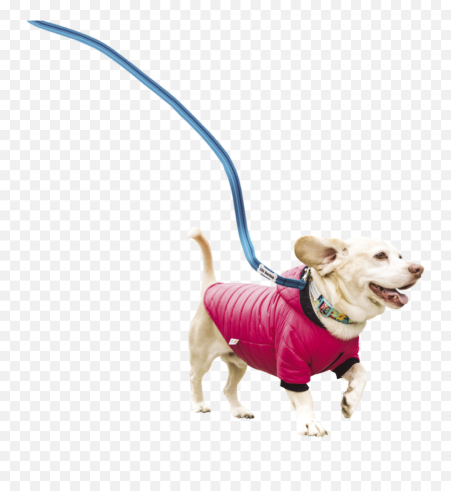 Dog Leash Sticker - Dog Clothes Emoji,Leash Emoji