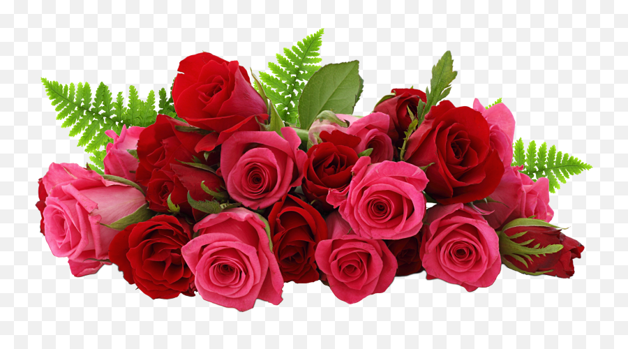 Flower Wallpaper Red And Pink Roses - Rose Flowers Png Emoji,Deep Emotion Rose Bouquet Ftd