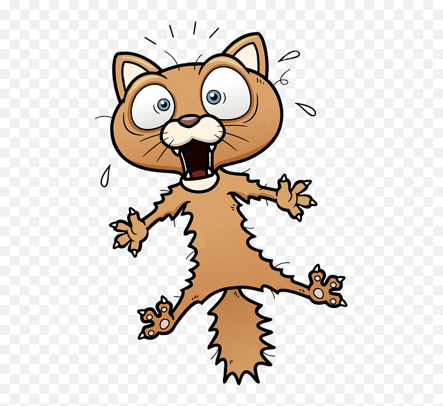 Fraidy Cat - Google Search Cat Clipart Cartoon Drawings Scared Cat Drawing Cartoon Emoji,Emotion Cartoon Images
