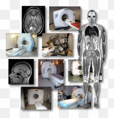 Computed Tomography Emoji,Pmd Emotion Potrait