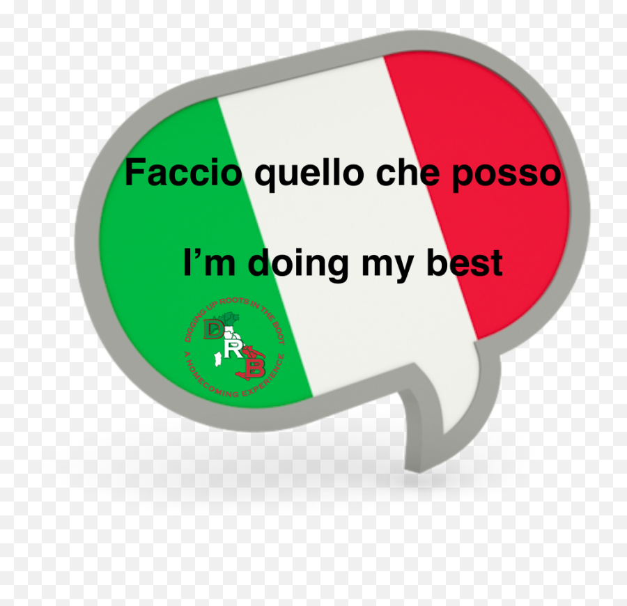 Italian Phrases Italian Lessons - Mexican Flag Speech Bubble Emoji,Minshall Emotions