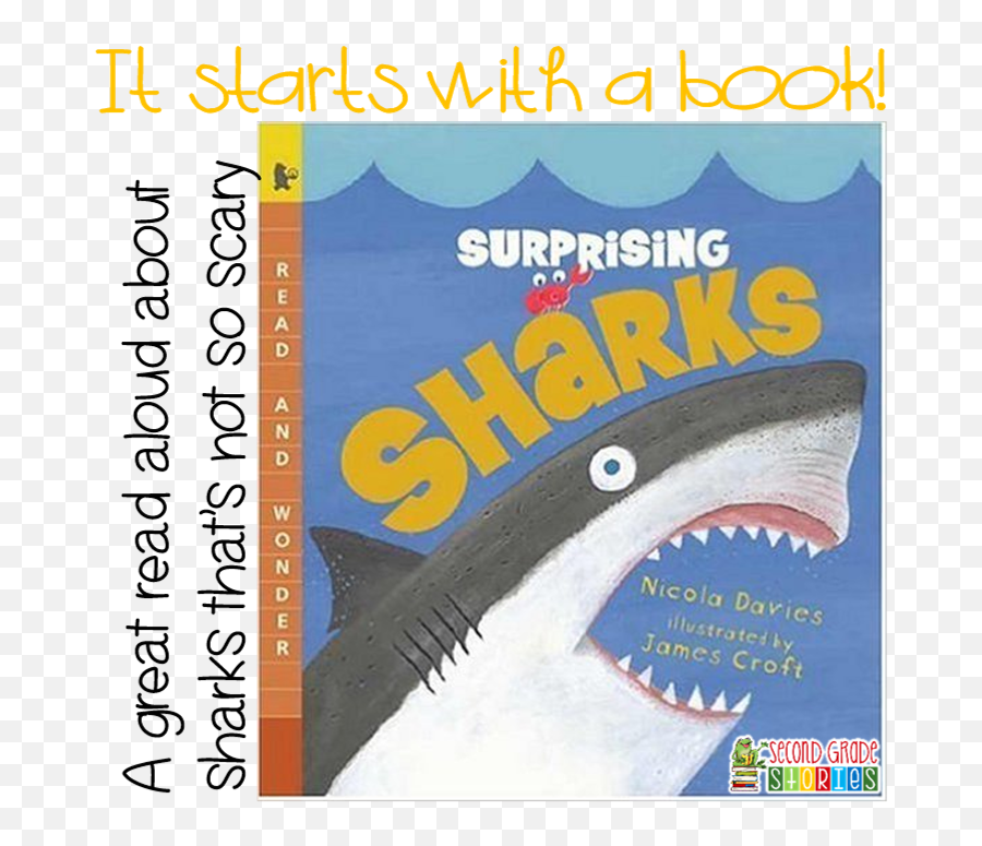 Second Grade Stories - Great White Shark Emoji,Guy Gives A Shark Book Emotions