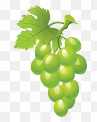 Grapes Clipart 5 - Transparent Background Green Grapes Clipart Emoji,Grape Emoji