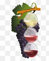 Mq Glass Vine Vines Grape Grapes Sticker By Marras - Wine Emoji,Grapes Emoji Transparent