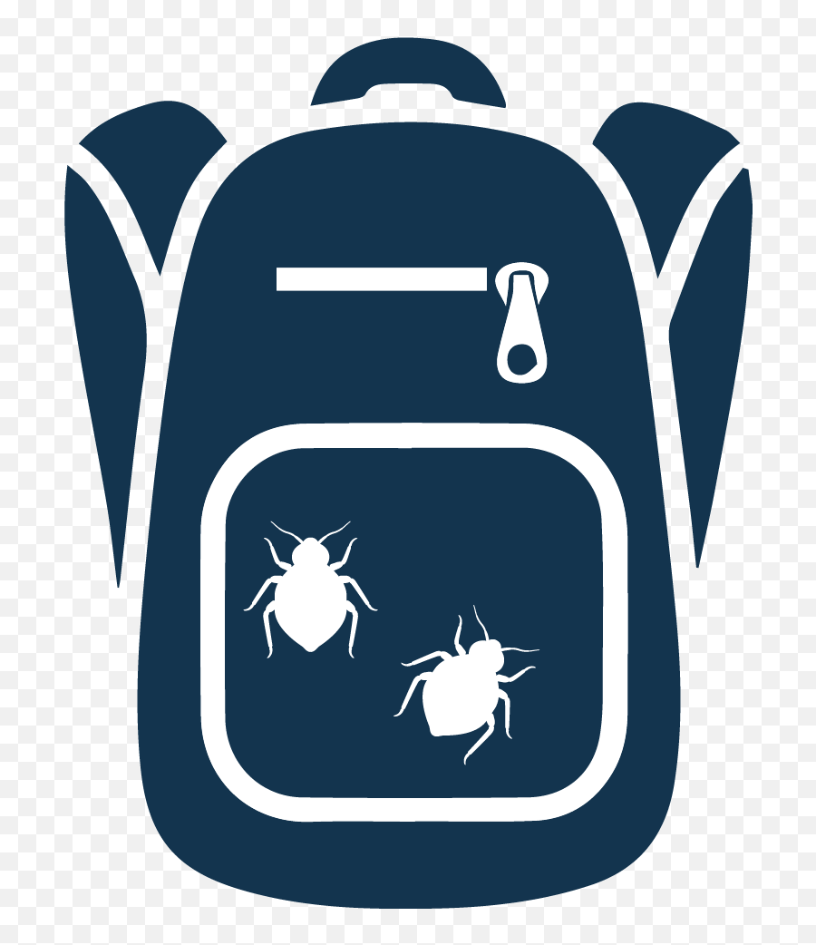 Bed Bugs Are Infesting Schools And Then Are Being Brought - Parasitism Emoji,Emoji Bed In A Bag Full