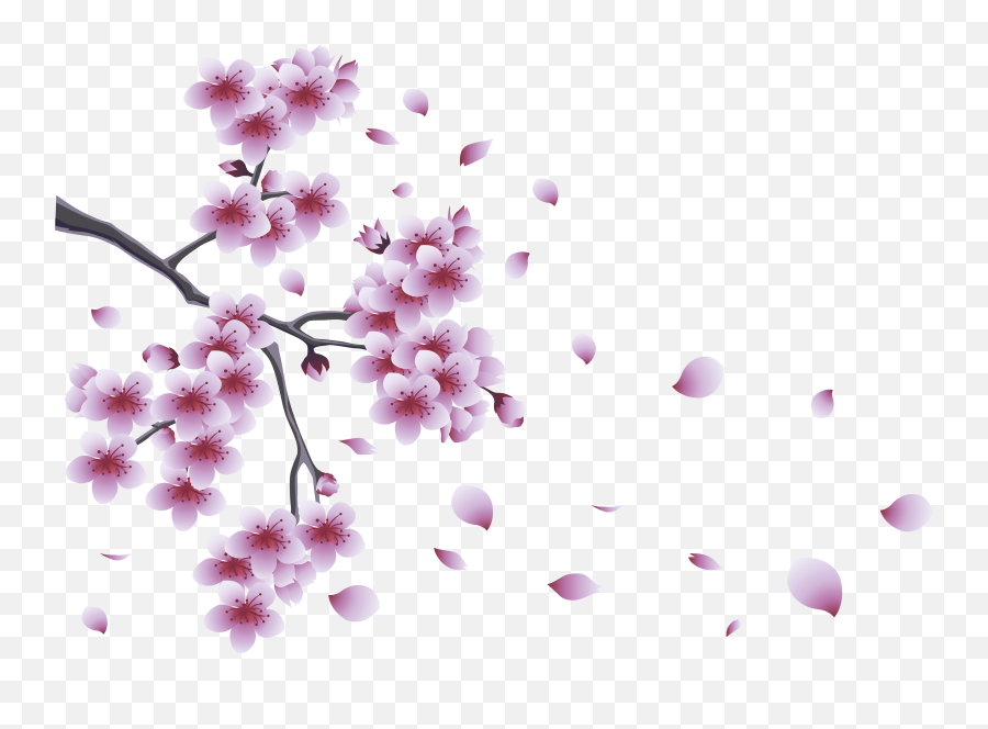 Download Flower Spring Tree Branch Flowers With Clipart Png Emoji,Sakura Blossom Emoticon
