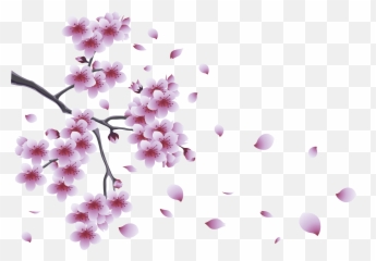 Download Flower Spring Tree Branch Flowers With Clipart Png Emoji,Sakura Blossom Emoticon