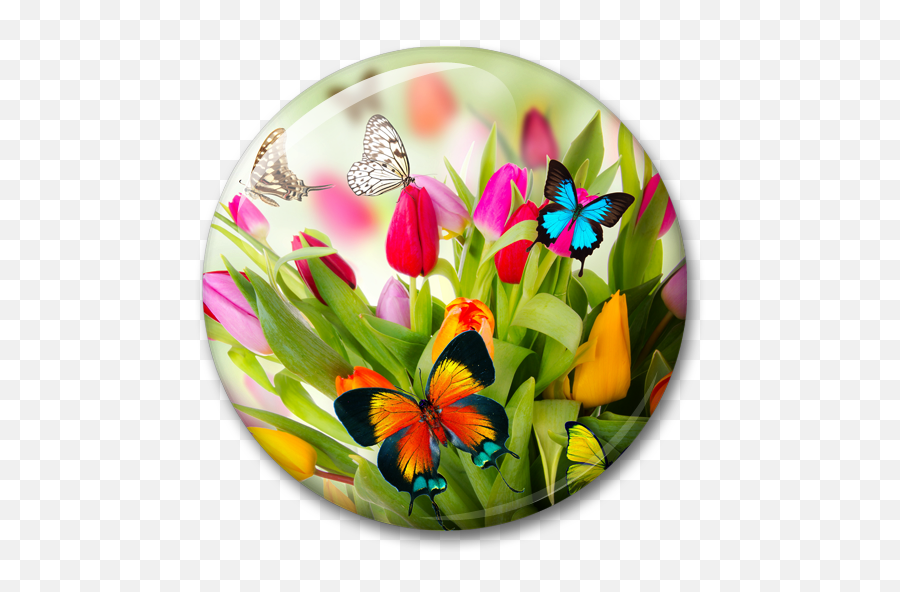Spring Live Wallpaper 10 Apk Download - Comspringwlpp Apk Free Emoji,Fowers And Butterfly Emojis