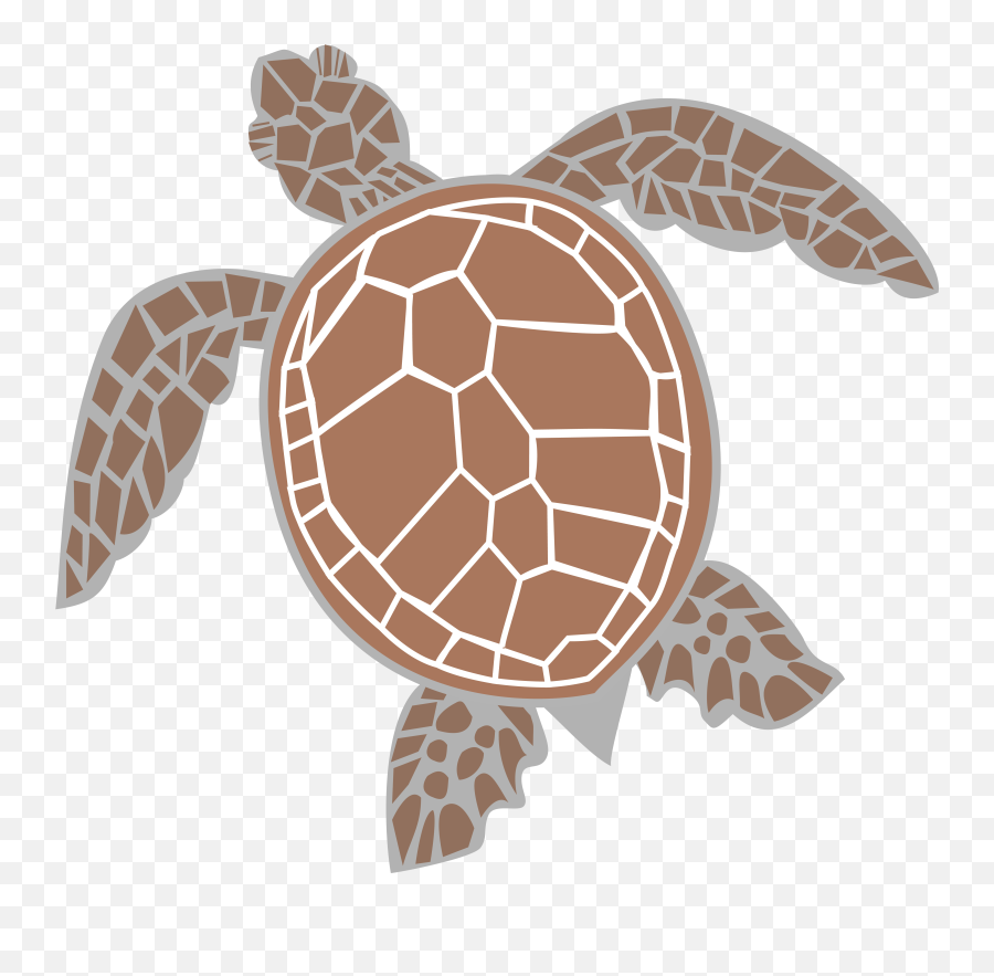 Sea Turtle Swimu0027 Game - The Great Outtours Emoji,Eyes And Clipboard Pencil Emoji