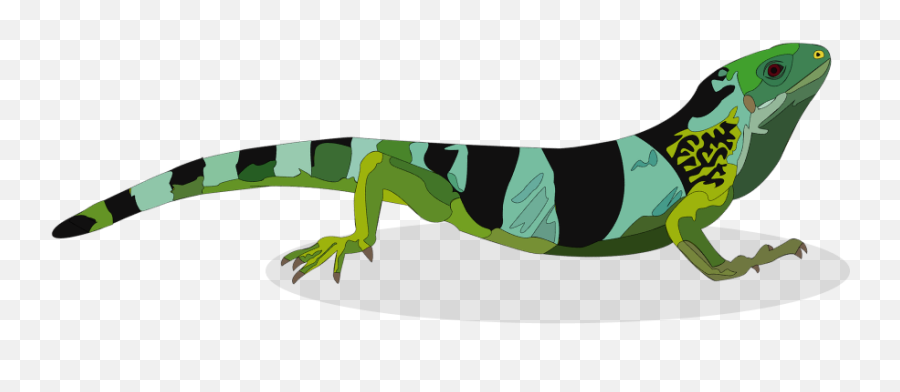 The Tye - Dyed Iguana Reptiles And Reptile Supplies In St Emoji,Funny Lizard Eating Bug Emoticon