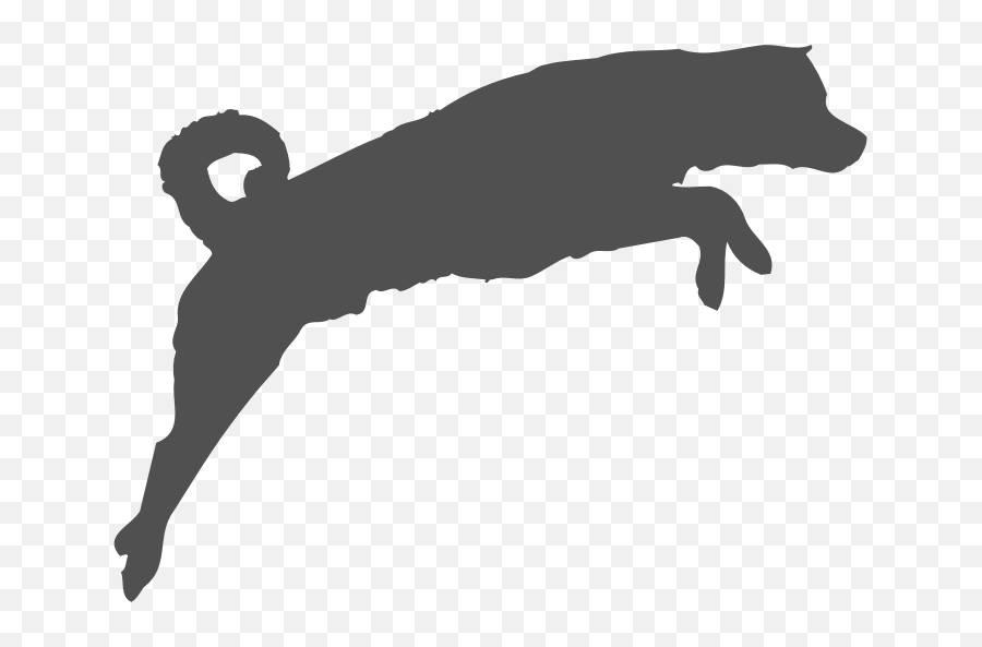 Dog Agility Png U0026 Free Dog Agilitypng Transparent Images - Agility Dog Symbol Png Emoji,Border Collie Emoji