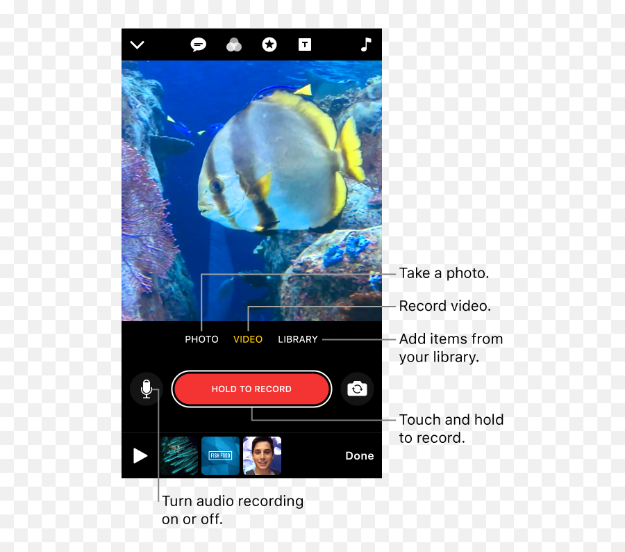 How To Use Appleu0027s Clips App To Make Fun Viral Videos - Coral Reef Fish Emoji,Apple Fish Emoji