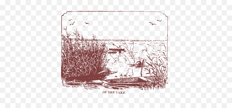 Dismal Swamp Canoeing Sketches By John Boyle Ou0027reilly 1890 - Dot Emoji,Wavy Angry Face Emoticon Gif