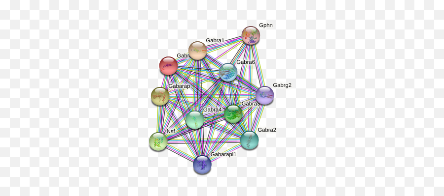 Gabra5 Protein Mouse - String Interaction Network Dot Emoji,Medial Dorsal Nucleus Thalamus Memory Emotion Step 1