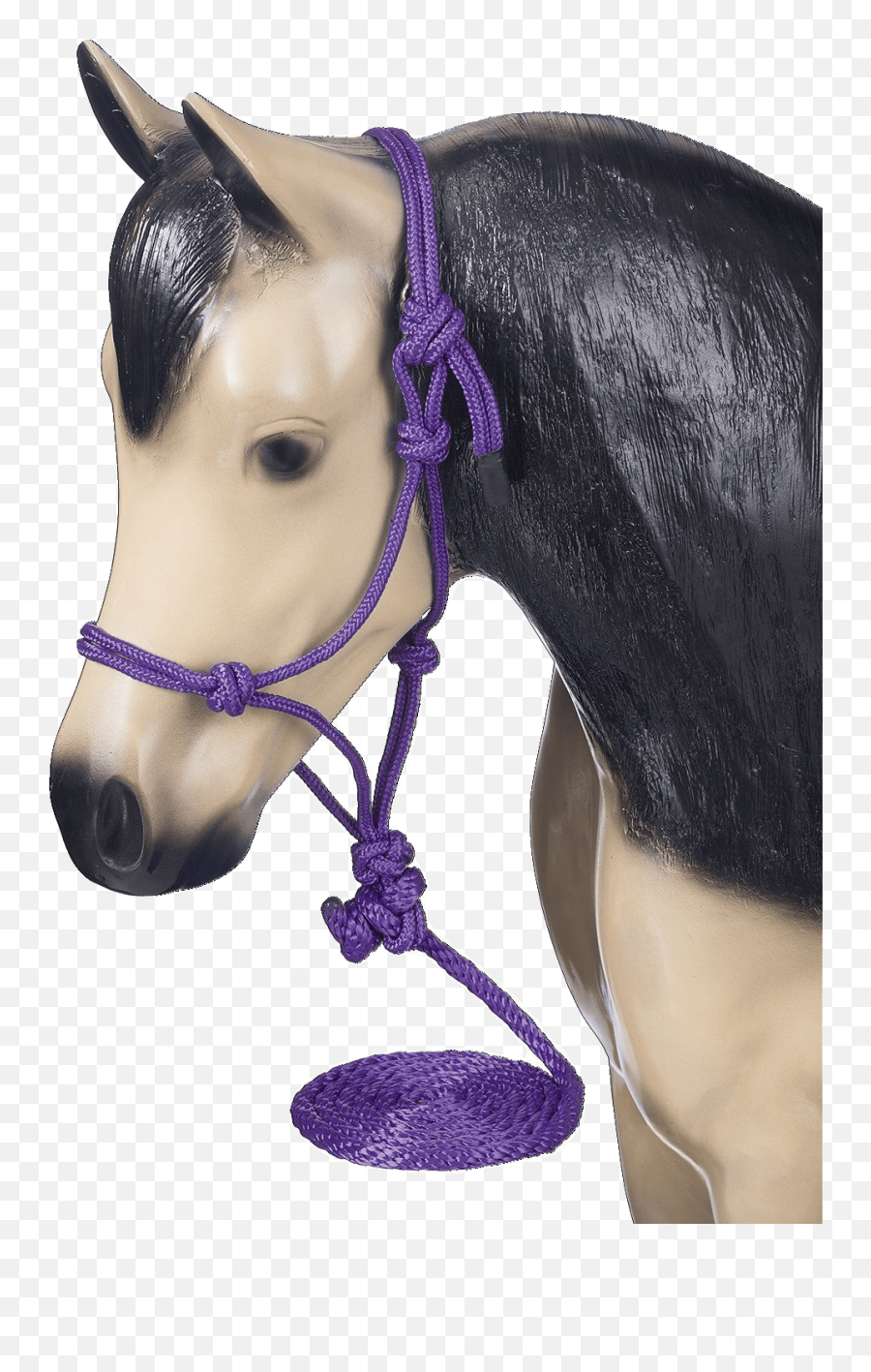 Miniature Horse And Pony Halter - Adjustable Nose Flames Mini Horse Rope Halter Emoji,Horse Nose Emotion