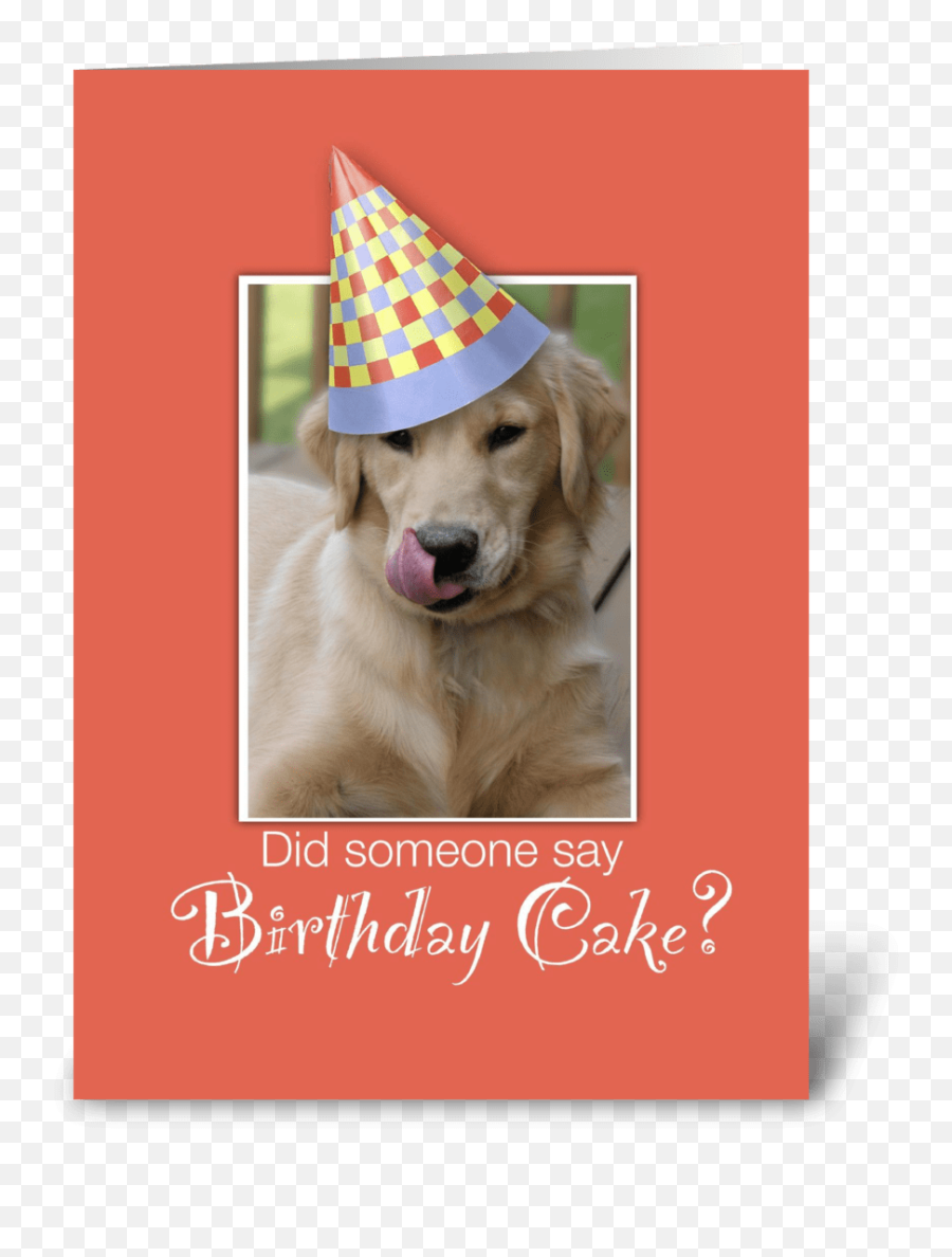 Humorous Birthday Golden Retriever Dog - Museo Del Valle De Tehuacán Emoji,Labrador Retriever Happy Birthday Emoticon