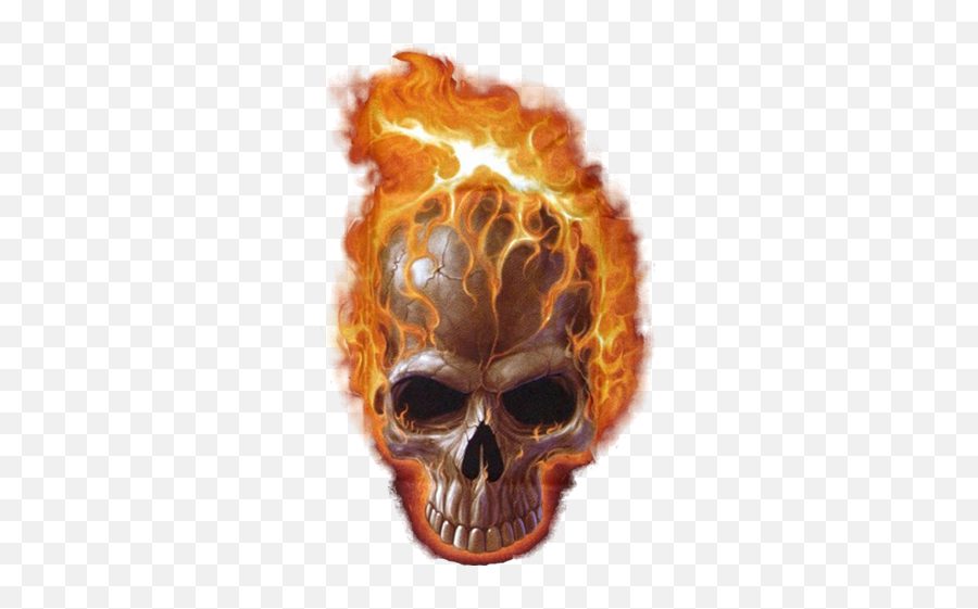 Skull Flames Halloween Sticker By Territales Emoji,Fire And Skull Emojis