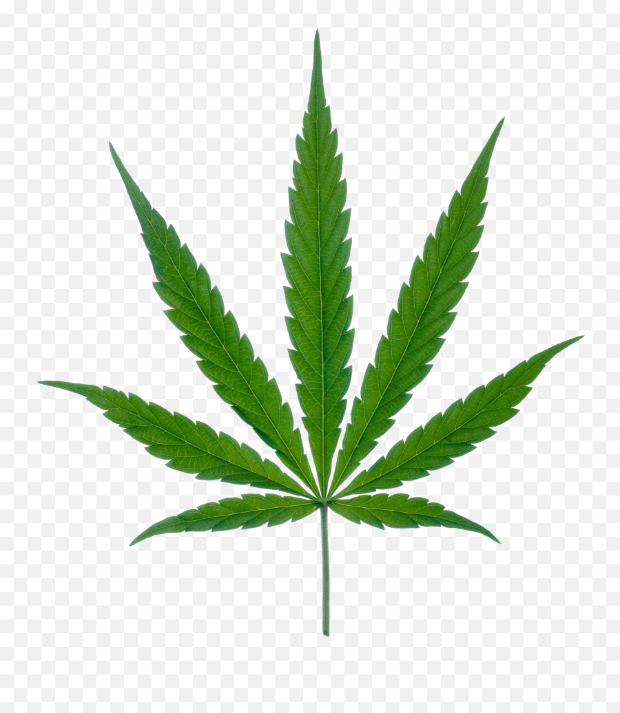 Cannabis Leaf Png Marijuana - Marijuana Leaf Svg Emoji,Pot Leaf Emoji