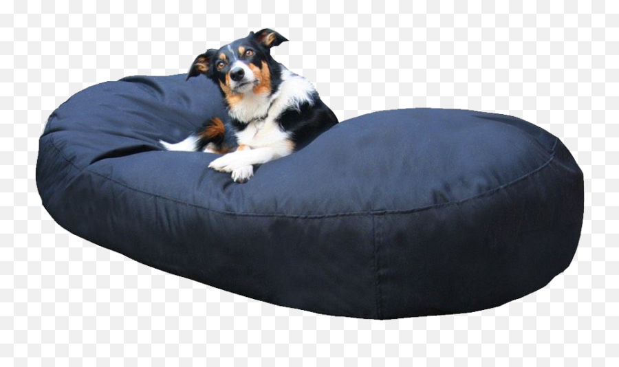 Buy Parachute Bean Bags Online - Home Accessories Chahyay Emoji,Dog Emoticon C&p