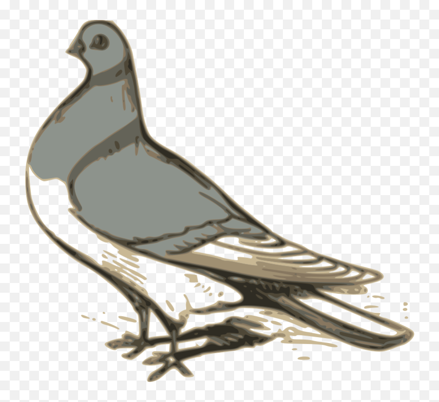 Free Clipart Pigeon Illustration Ossidiana Emoji,Pigeon Emoji