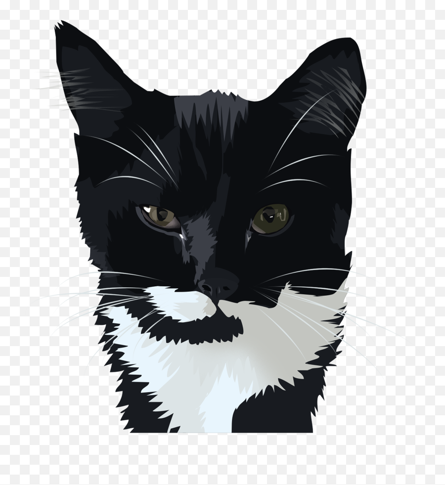 Animal Dog Cat Vector Portrait Illustration Ii On Behance Emoji,Tux Emoji